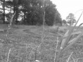 /album/fotogalerij-farming-simulator/a20131008-151451-jpg/