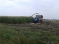 /album/fotogalerij-farming-simulator/a20131008-152905-jpg/