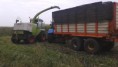 /album/fotogalerij-farming-simulator/a20131008-152943-jpg/