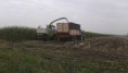 /album/fotogalerij-farming-simulator/a20131008-152955-jpg/